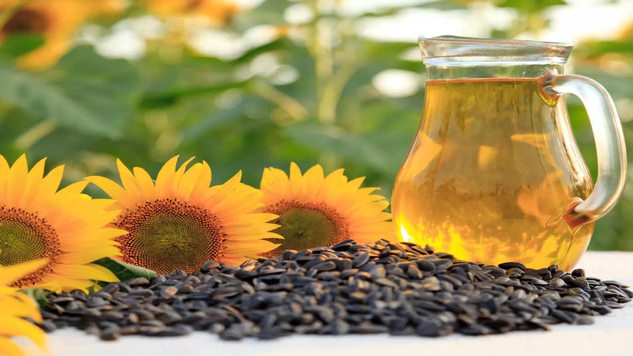 India’s Edible Oil Imports Surge in May, Driven by Rising Demand