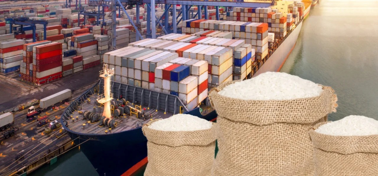 India Limits Inspection Certificate Requirement for Rice Exports to Select EU Nations and Adjacent Countries