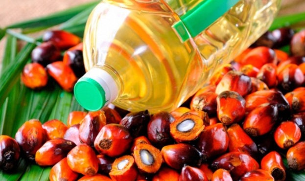 Indonesia’s Policy Uncertainty Keeps Malaysian Palm Oil Prices Buoyant