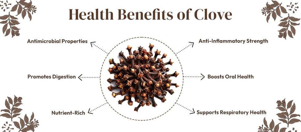 Ministry of Ayush Validates Ayurveda's Take on Cloves for Health