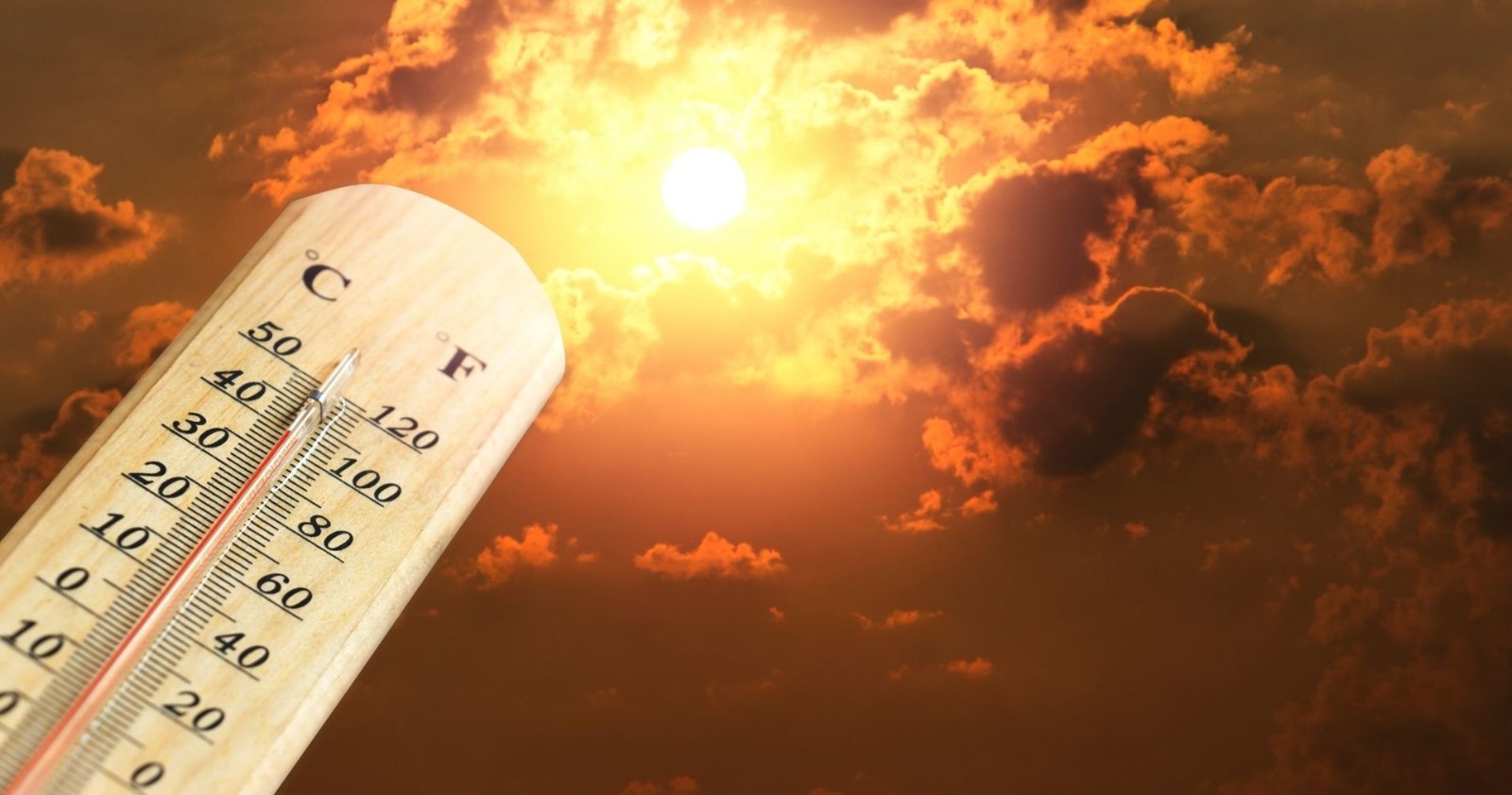 2024: India's Warmest Year Since 1901, Reports IMD