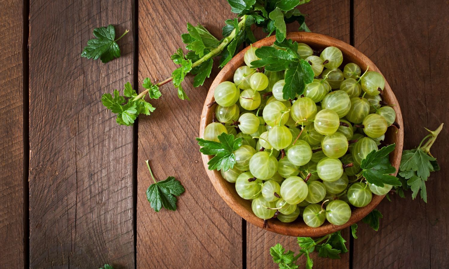 Winter Wellness Superfood: 3 Delicious Ways to Add Amla to Your Diet