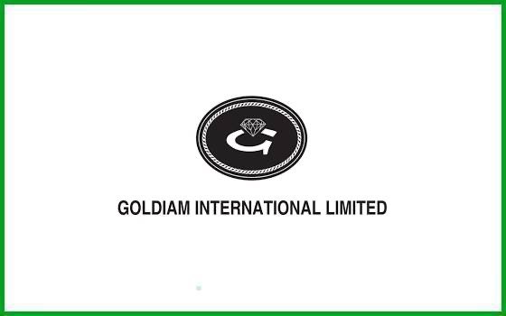 Goldiam International Q1 Results: Revenue Reaches 3.26 Billion Rupees