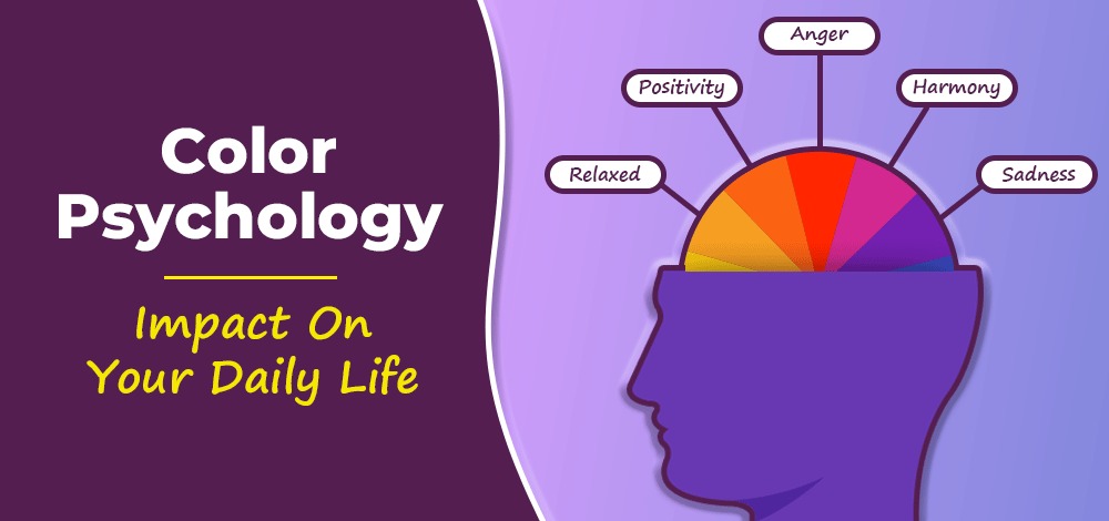 Color Cues: How Shades Shape Your Choices Every Day