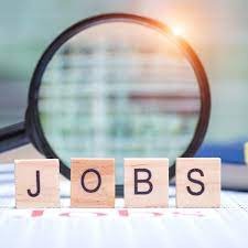 India’s Job Market in Motion: Professionals Seek Growth, Flexibility, and AI Readiness
