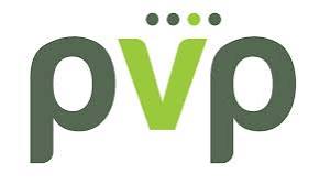 PVP Ventures to Issue NCDs, Appoints Interim Compliance Officer