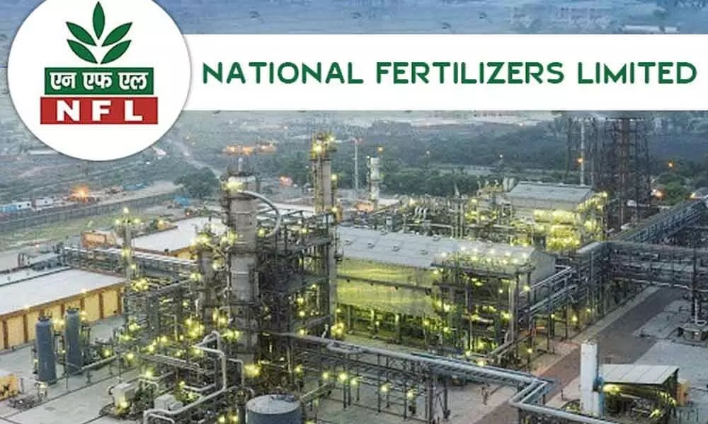 Fertilizer Sector Alert: National Fertilizers’ ₹3.84 Billion Tax Notice Sends Ripples