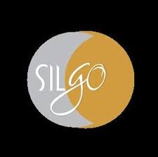 Silgo Retail Plans Major Fundraising Through Preferential Issue