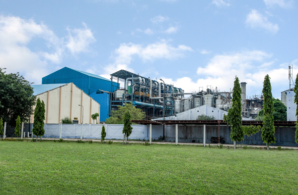 SBEC Sugar Faces High Court-Directed Recovery for Cane Dues from 2024–25 Crushing Season