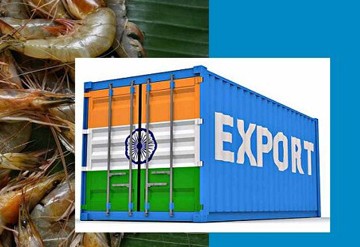 No More All Eggs in One Basket—India Cracks Open New Markets with Seafood and Style