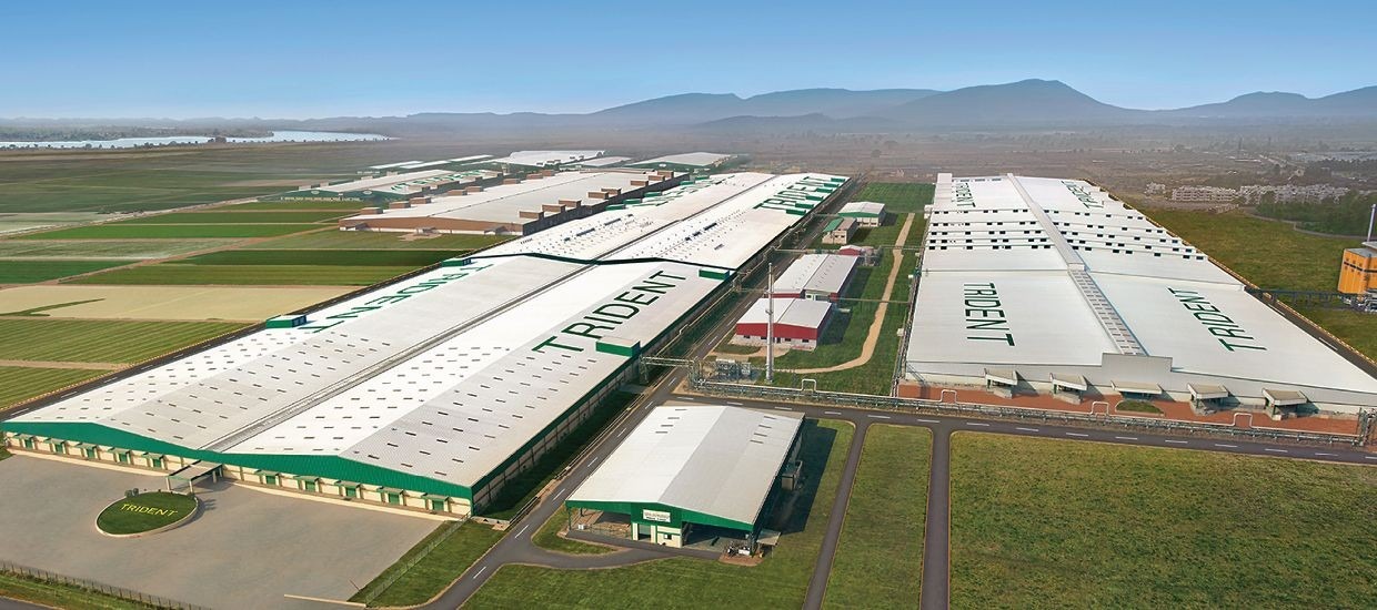 Trident Ltd Reports Q3 Net Profit Of ₹442.4 Million, Incorporates US Subsidiary