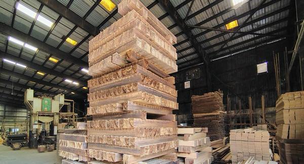 Bamboo Boom in Tripura: Growing Green, Going Global!