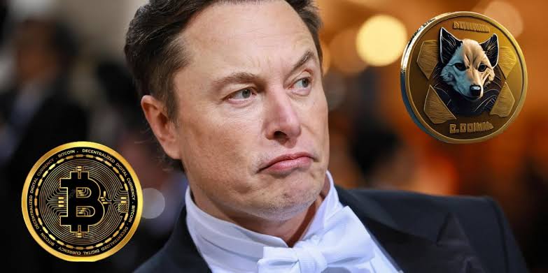 Crypto Chaos: Musk's Stablecoin Plans Rattle Washington's Cage