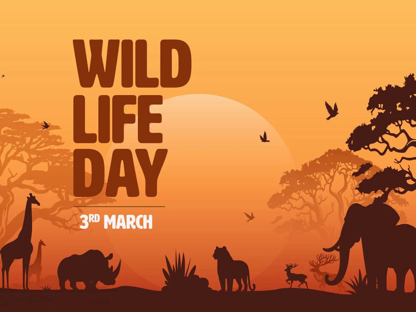 World Wildlife Day Spotlight: India’s Unsung Conservation Heroes