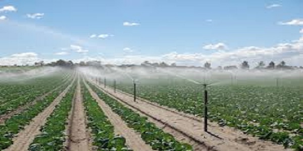 The Water Advantage: Centre's Rs 1,600 Crore Scheme to Enhance India's Agricultural Competitiveness