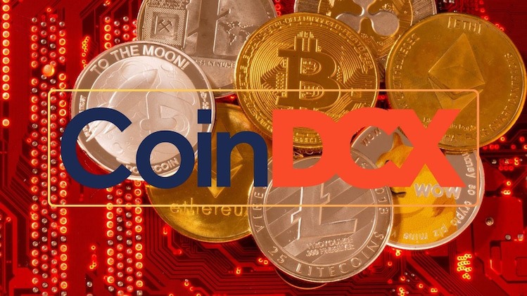 CoinDCX Defies Odds: Records Highest-Ever Trading Volumes in July Despite ₹380 Crore Hack
