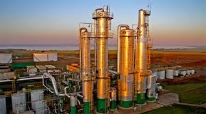 India’s Sugar Sector Seeks Urgent Policy Shifts As Ethanol Push Gains Momentum