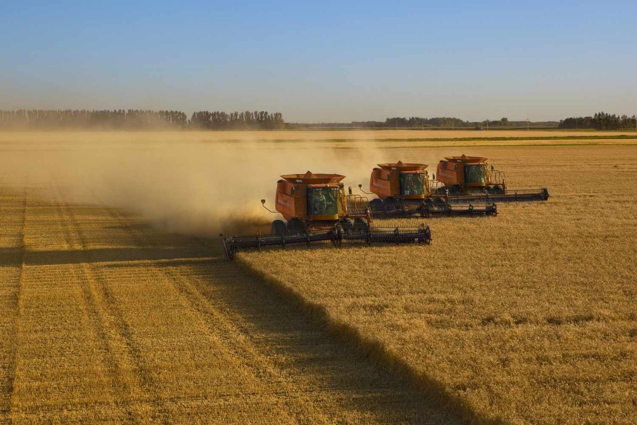 Global Agricultural Powerhouses: What Sets Them Apart