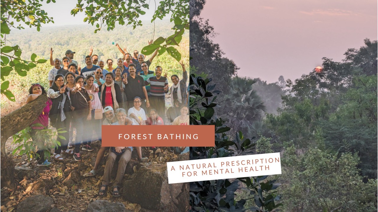 Breathe, Wander, Repeat: Forest Bathing Becomes Delhi’s New Wellness Ritual