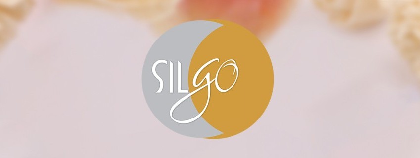 Silgo Retail Ltd Advances Renewable Ambitions With New Solar Energy SPVs As Subsidiaries