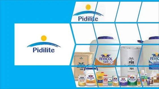 Pidilite’s ₹20 Dividend Sticks Out-But Can It Hold Together Amid Q4 Profit Miss?