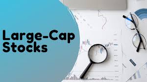 Mutual Funds Boost Stakes in Zomato, M&M, and 8 Other Large-Cap Stocks in Q3 FY2025