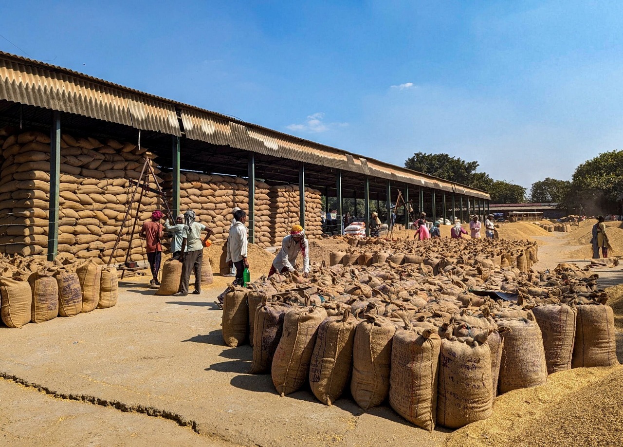 Indian Rice Industry Urges Lifting of Broken Rice Export Ban Amid Surging Stocks