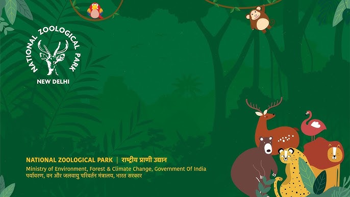 Delhi Zoo’s Rs 400-Crore Facelift To Blend Wildlife Care With Visitor Delight