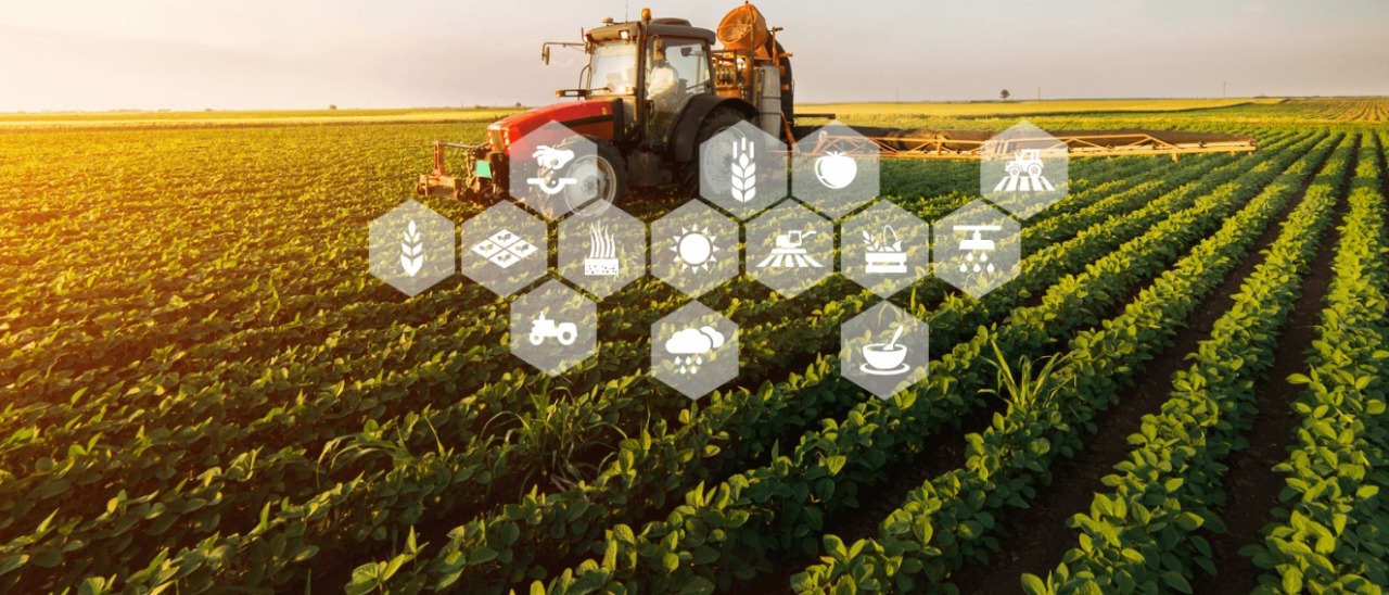 AI Sows The Seeds Of A Farming Revolution: Farmers Become Data-Powered Innovators