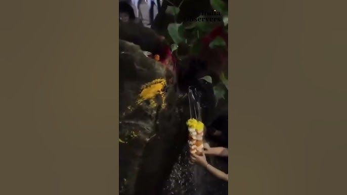 Faith in the Flow: Pune Devotees Worship Tree, Only to Find It’s Plumbing Below