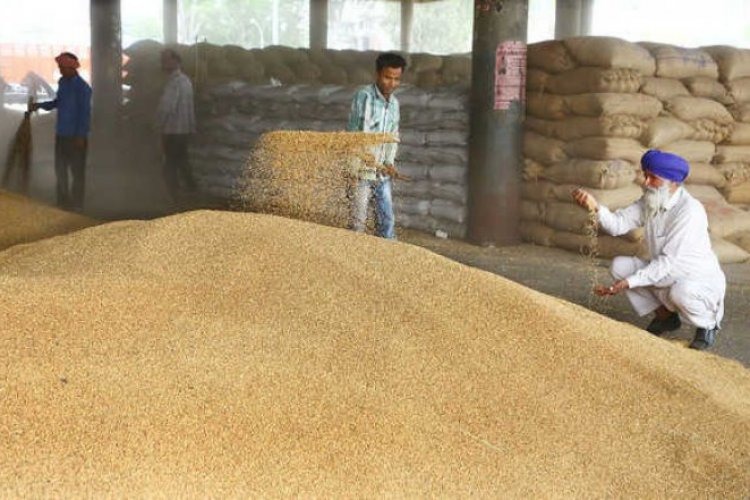 India's Wheat Procurement Targets Within Reach: 25.6 Million Metric Tons Bought to Date
