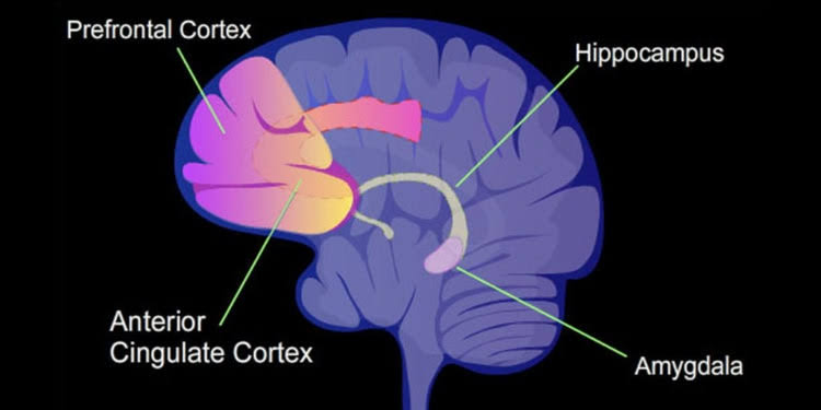 Science Backs Micro-Mindfulness: One-Minute Morning Meditation Routines Improve Mental Clarity