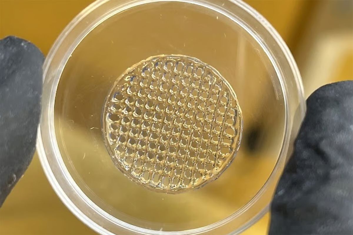 Glow Without Guilt: 3D Skin Printing Paves Way for Cruelty-Free Beauty