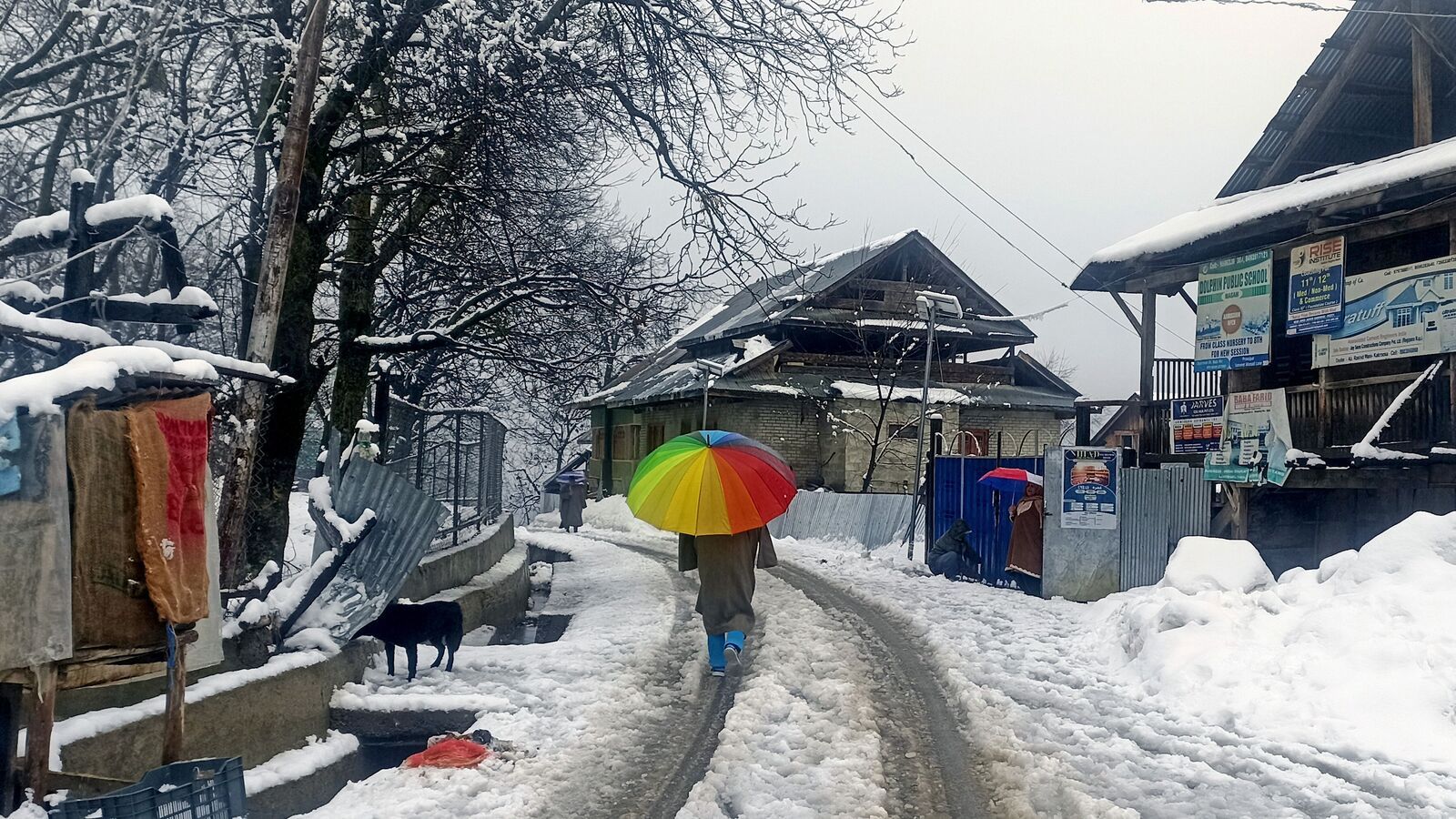Storm Watch: Himachal Pradesh Braces for Heavy Snow, Rain & Thunderstorms with Yellow Alert Issued
