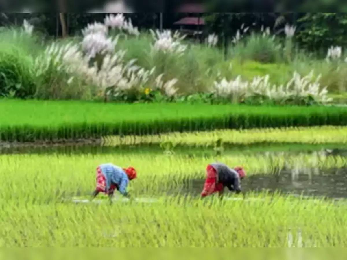 Inflation Takes a Chill Pill—Relief Rolls In for Farm and Rural Workers!