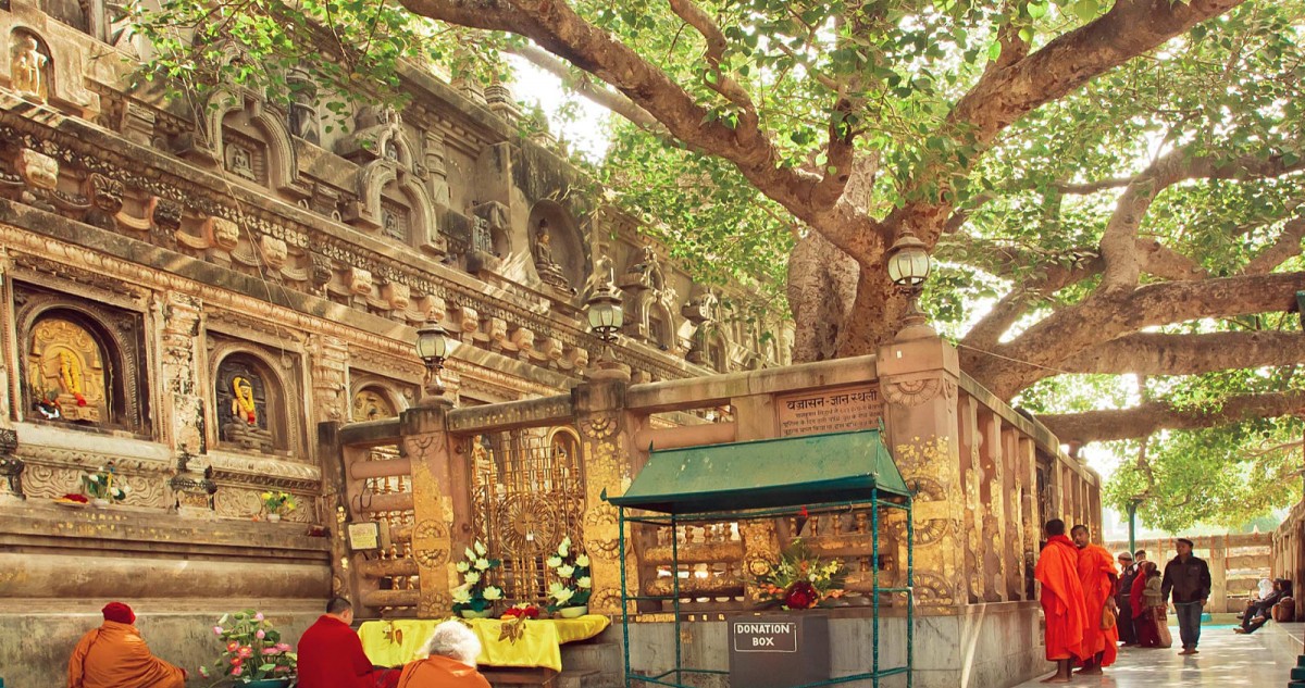 Beyond Borders and Beliefs: The Great Buddhist Pilgrimage