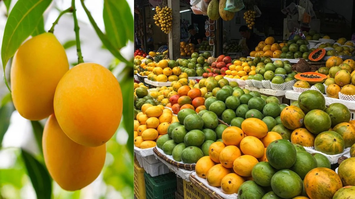 Mango Season Begins In Bengaluru With Early Arrivals And High Prices