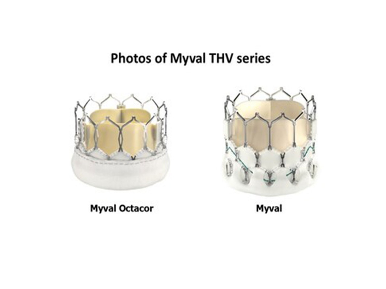 Indian Medtech Breakthrough: Meril Life Sciences Shines At PCR London Valves 2025