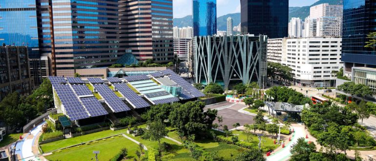 Forests In Flats: India’s Real Estate Turns Green With Miyawaki Living Spaces