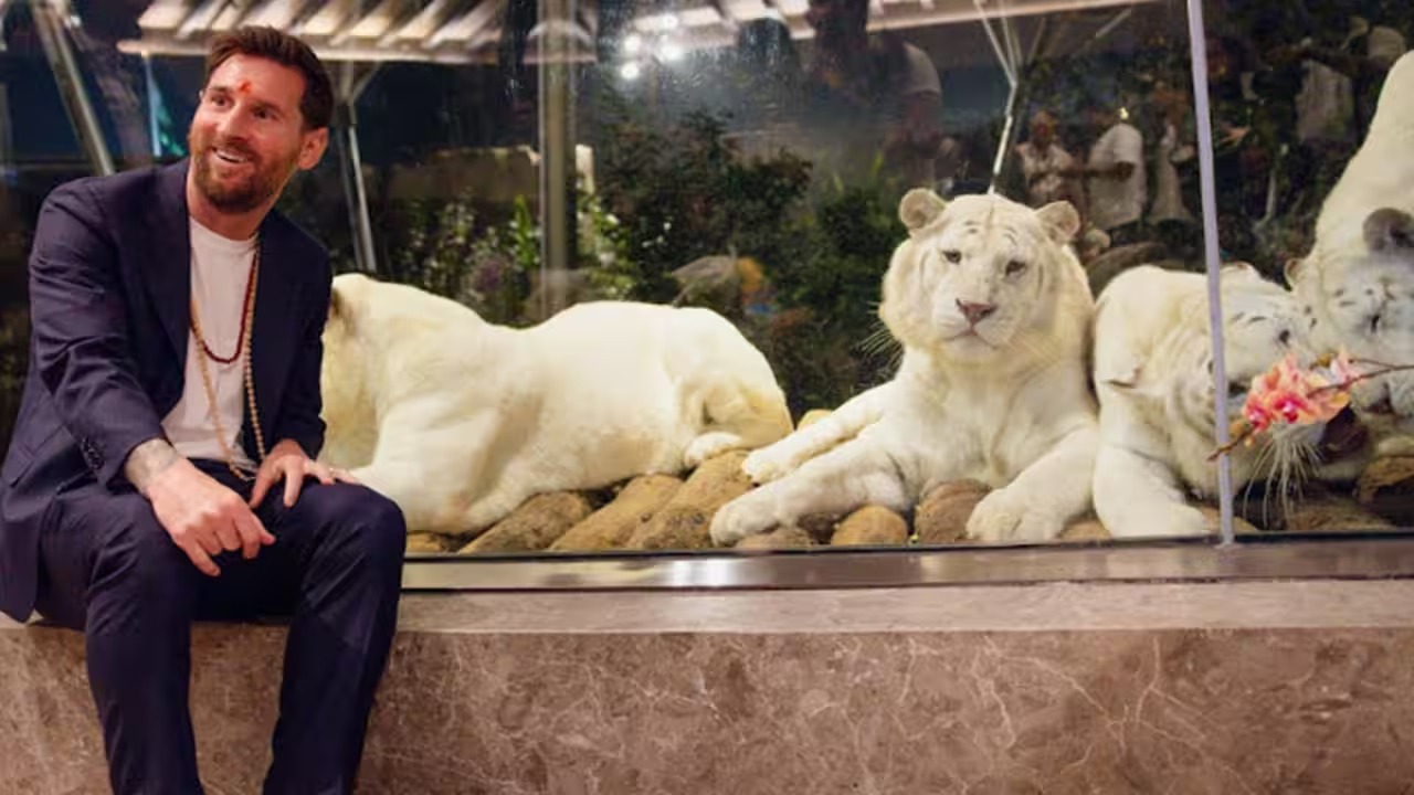 Lion Cub Named 'Lionel' Honors Messi During Vantara Visit