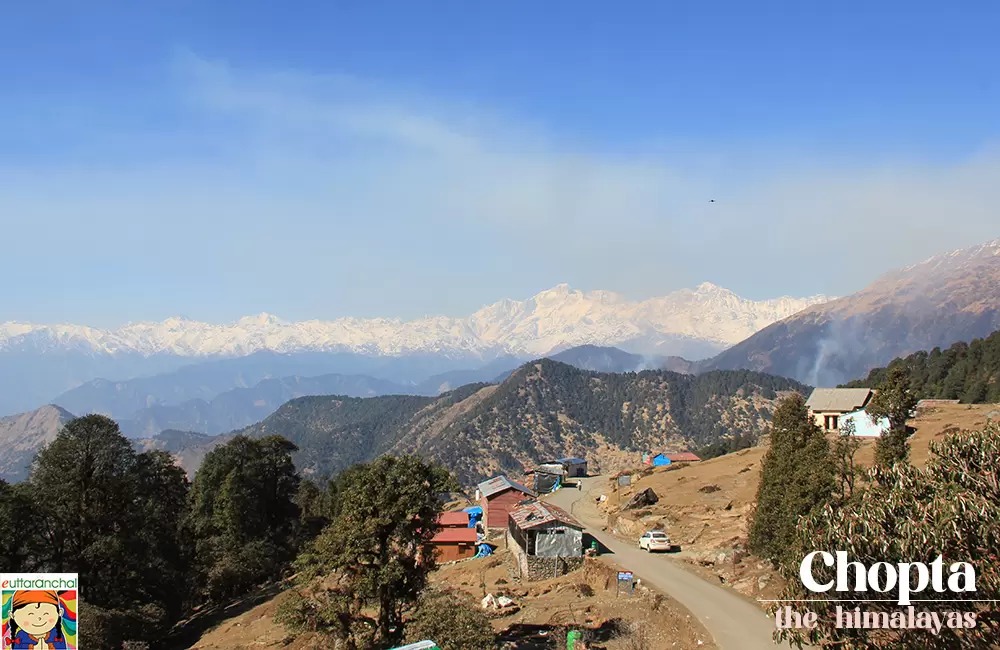 Where Is Chopta Valley? Exploring Uttarakhand’s Scenic Himalayan Meadows