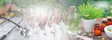 Healing the Future: How Naturopathy Colleges Are Revolutionizing Healthcare Education