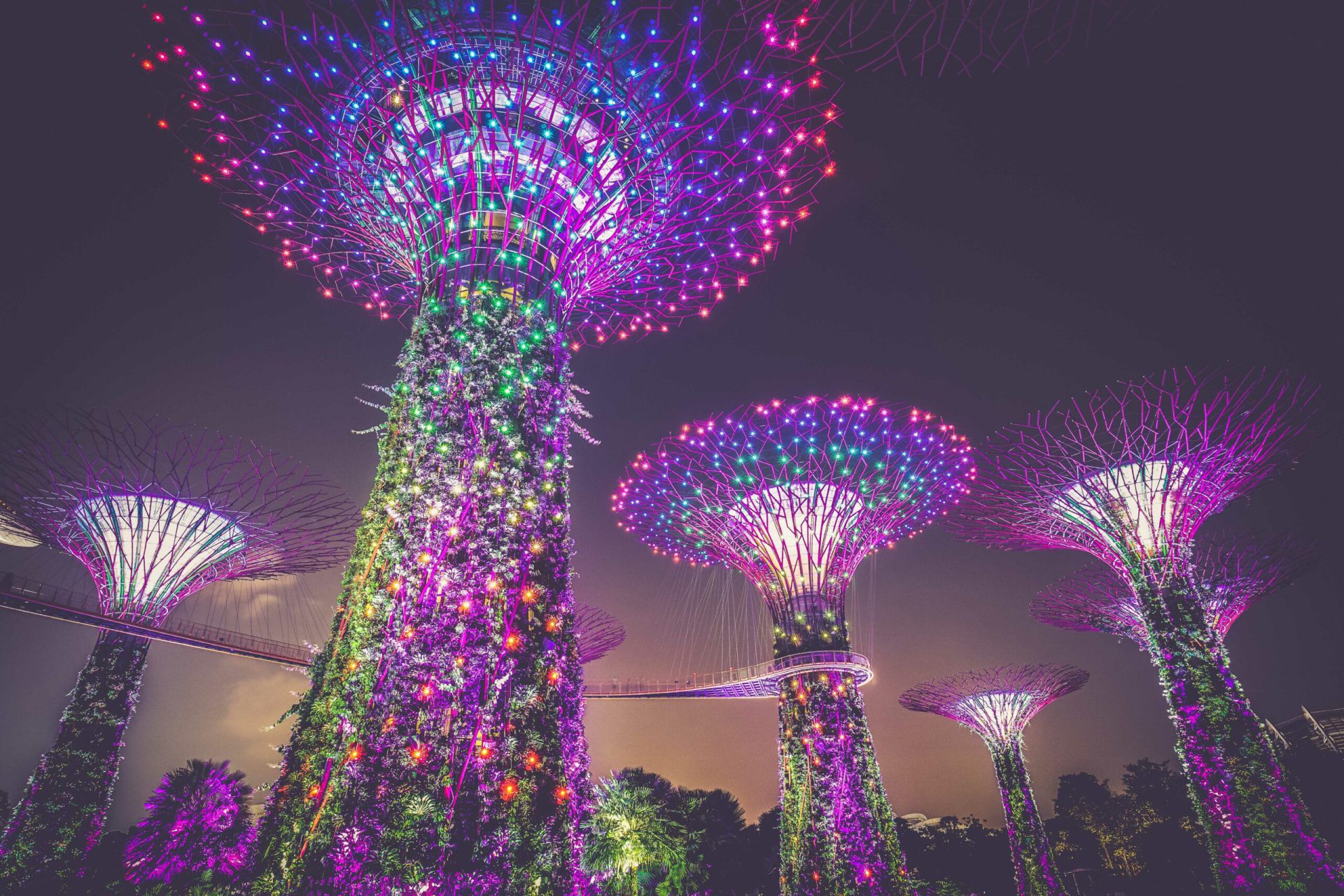 AI with a Purpose: Singapore's Startups Seek Funds Through Innovation!