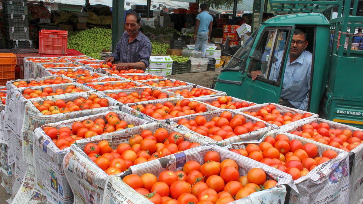 India’s Wholesale Inflation Turns Negative in June, Fuel and Food Prices Drag Index Below Forecast