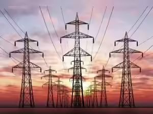 Govt Stands Firm: No Privatisation of Power Sector, Assures Energy Minister
