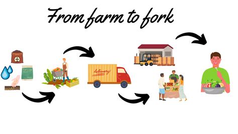 AI-Powered Farm-to-Fork Revolution: Fresh Food Delivery Gets a Tech Makeover