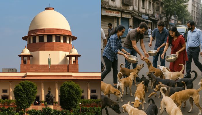Stray Dogs Picked Up Despite SC Order Pending Upload: Advocate Raises Concern Before Chief Justice of India