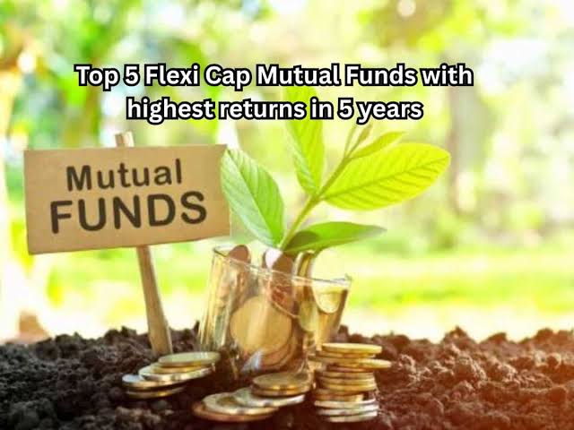 5-Year Flexi Cap Champs: Which Funds Led the Pack with 30%+ Returns?