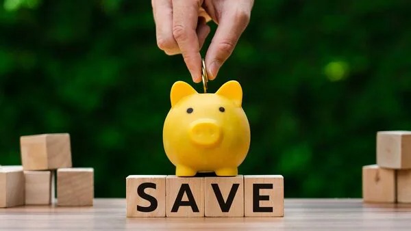 India's Financial Tightrope: Balancing Savings and Debt in a Changing Economy