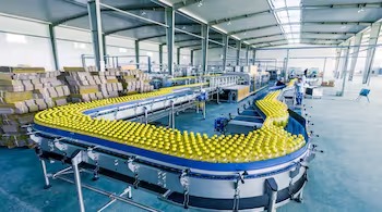 India Unveils Massive Food Processing Expansion With 75,000 New Units In Uttar Pradesh
